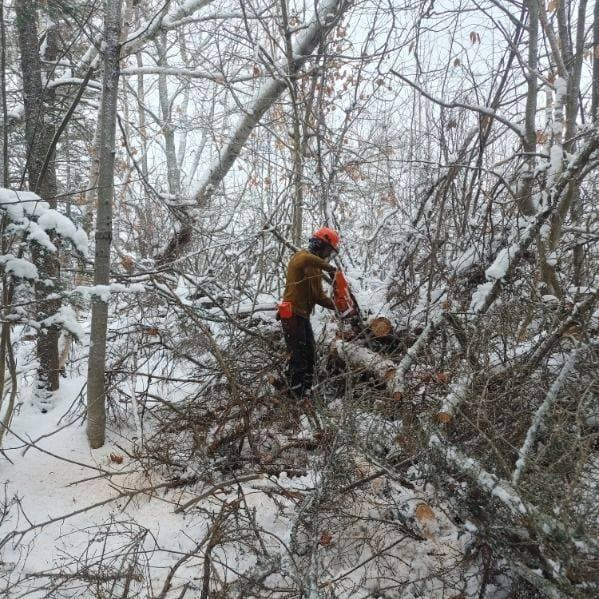 Dave's Tree Care crew on a PEI job site