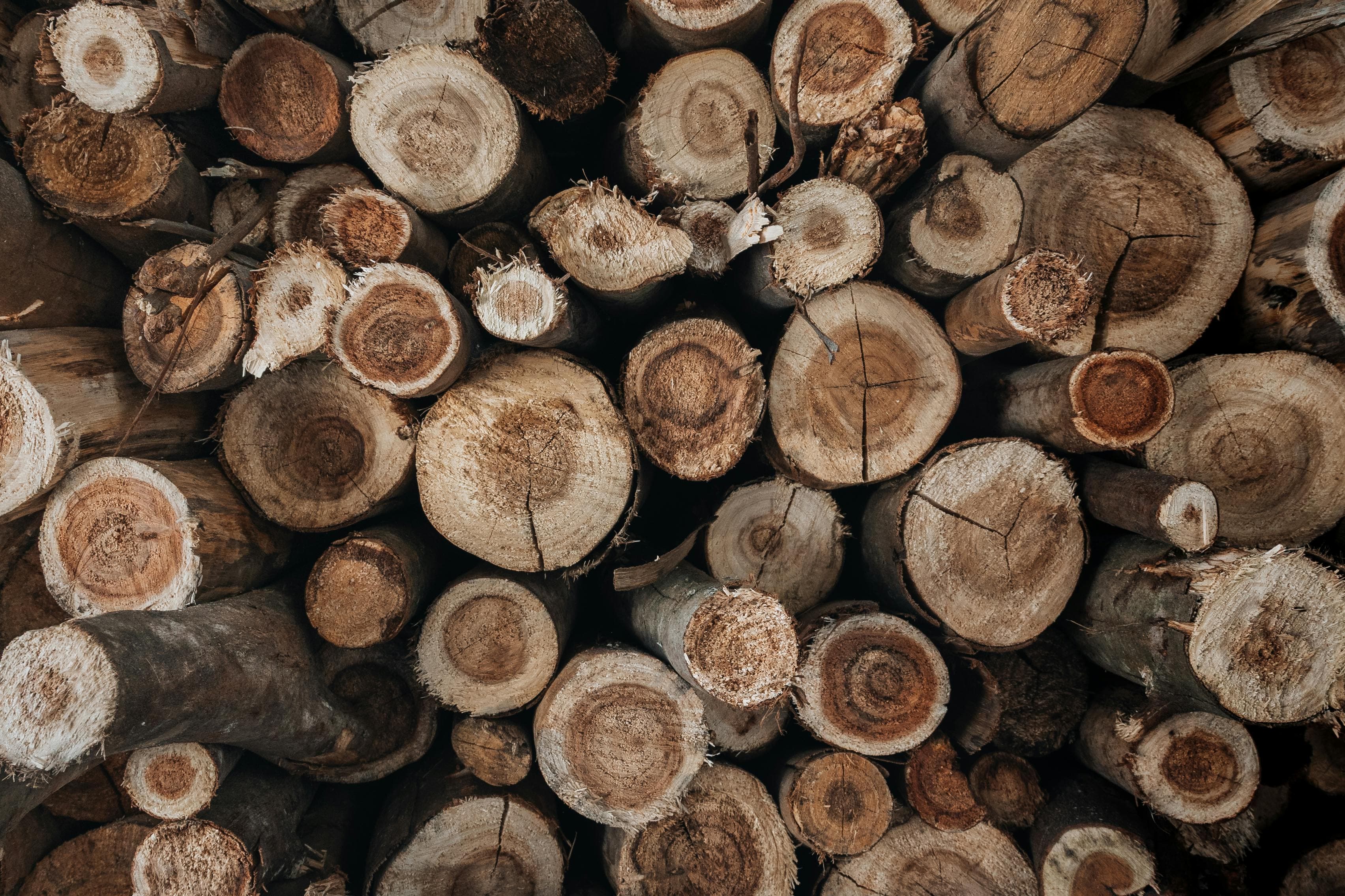 Neatly stacked cut logs outdoors on a PEI property